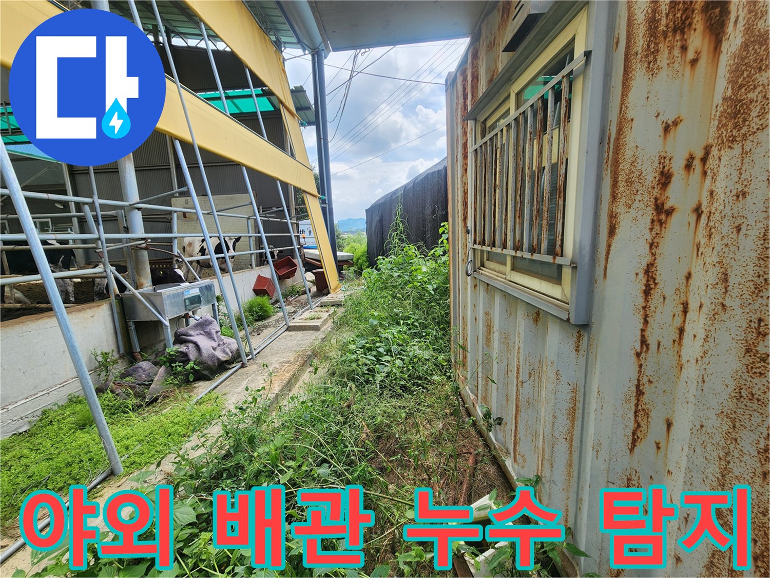 양주시 남면 현장의 컨테이너 외벽 및 주변 배관 점검 모습