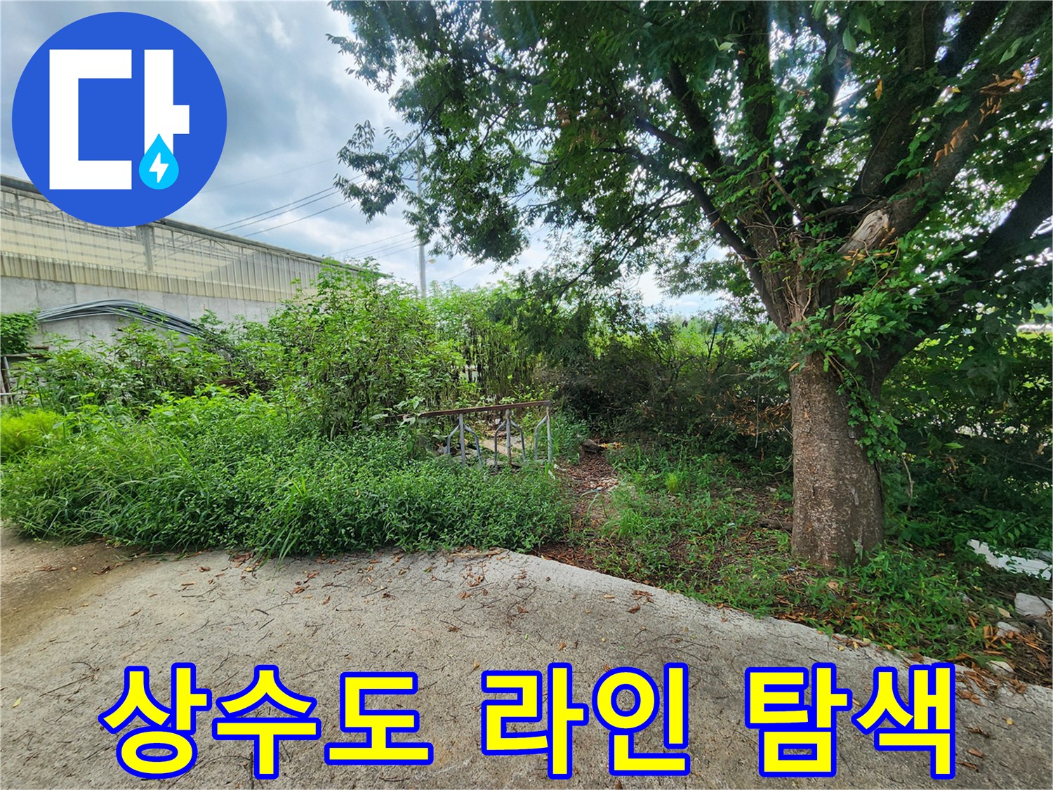 풀숲 사이 배관 경로 - 누수 지점을 찾기 위해 장비를 활용하여 진단 중입니다.