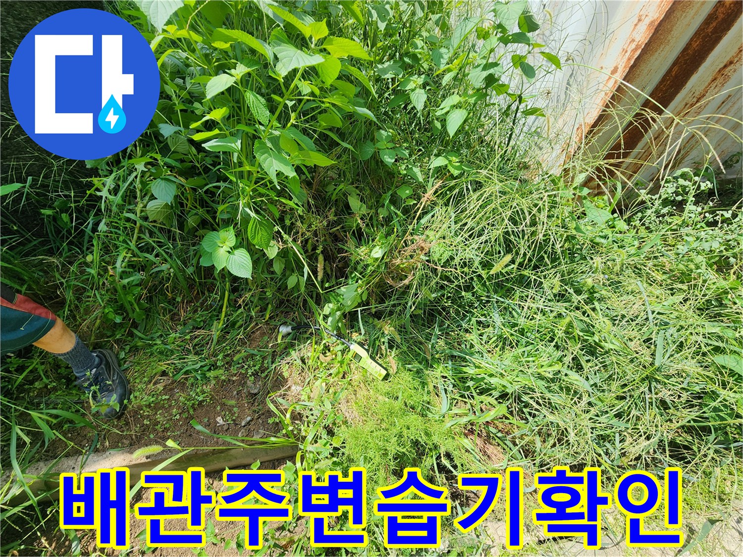 풀이-우거진-현장에서-배관-주변의-지면-상태를-조사하는-엔지니어