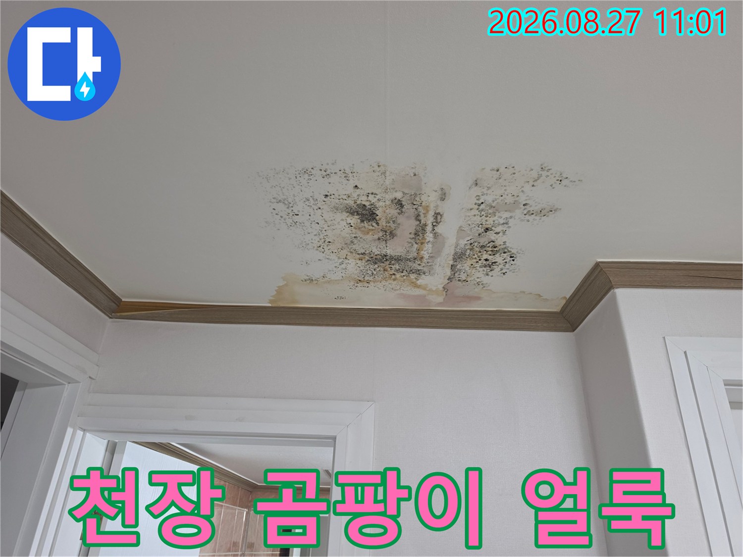 누수로 인해 발생한 천장 마감재의 곰팡이와 물 자국