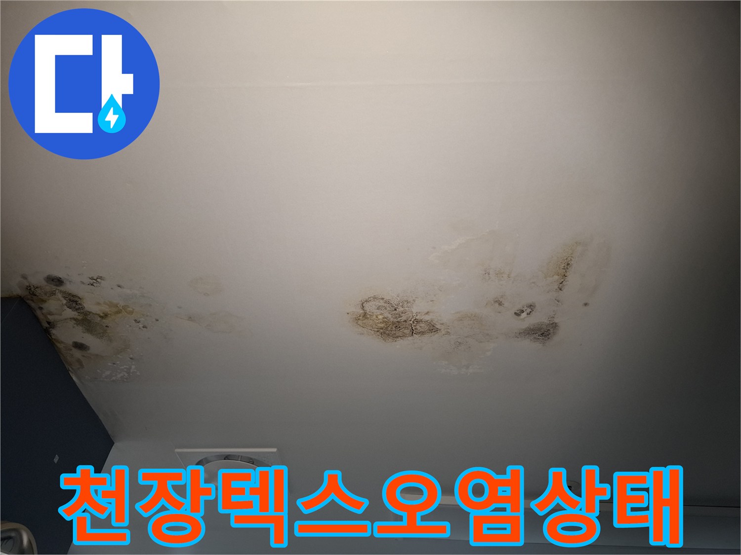 누수로 인해 변색된 천장 텍스와 주변부 습기 상태