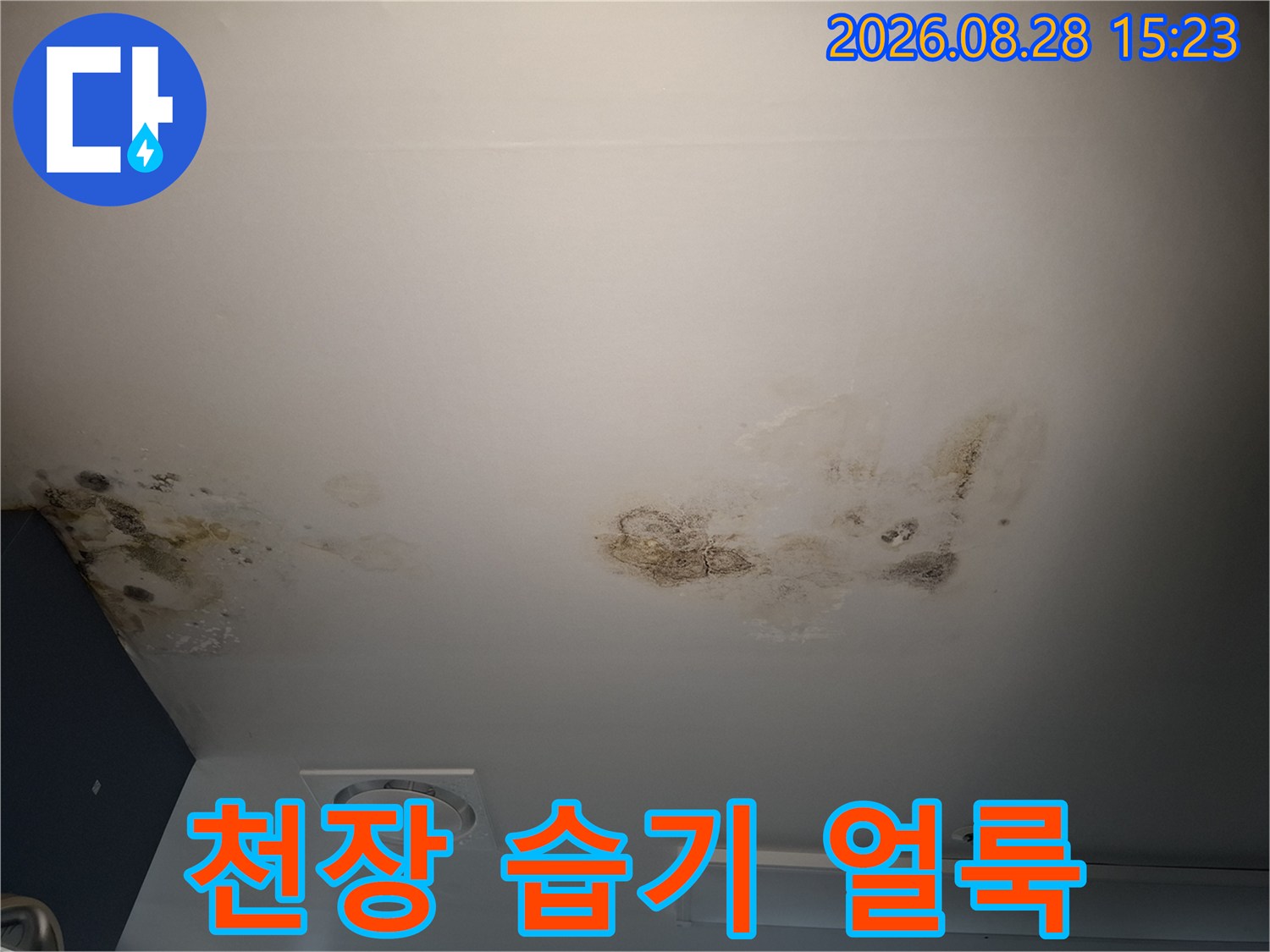 천장 마감재에 발생한 짙은 색의 누수 및 곰팡이 오염