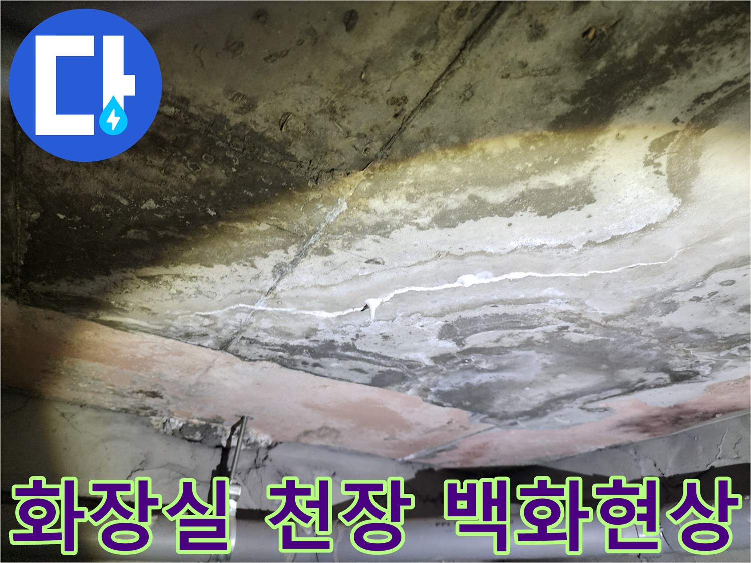 용인 수지구 아파트-화장실 천장 슬래브의 백화 현상과 습기 흔적