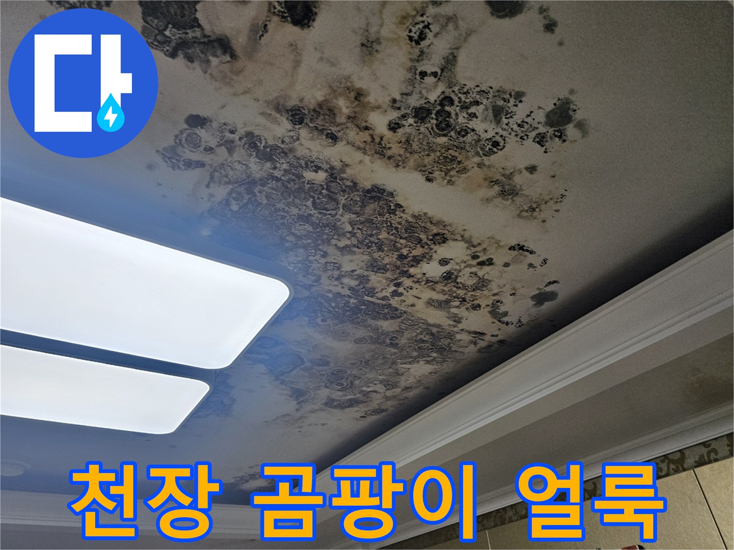 심하게 오염된 아파트 거실 천장의 누수 및 곰팡이 흔적