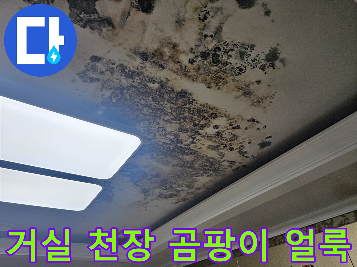 은평구 아파트 거실 천장의 넓은 곰팡이 및 물샘 흔적