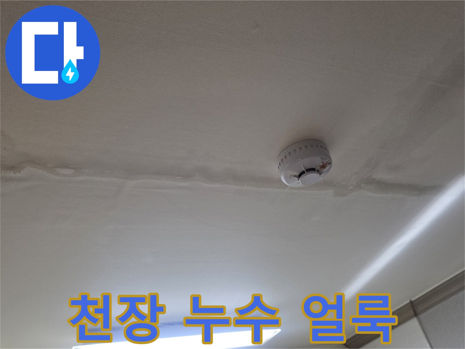 어둡게 변색된 천장 마감재의 누수 흔적 촬영
