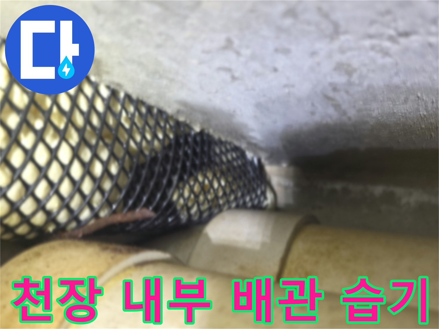 천장-내부-배관-주변의-습기와-오염-상태를-확인하는-모습