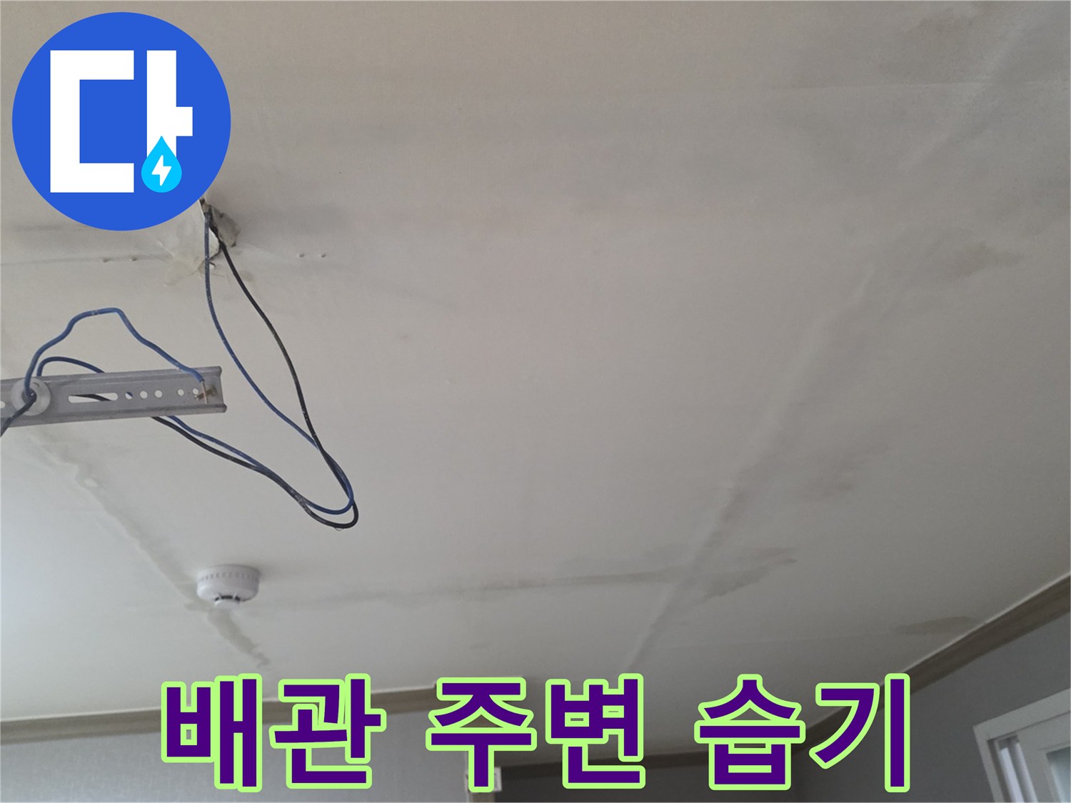 천장-내부-배관-주변의-습한-상태와-오염된-흔적