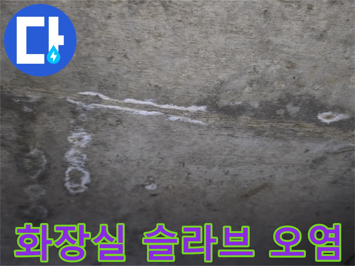 물기가 스며든 화장실 천장 콘크리트의 변색 부위