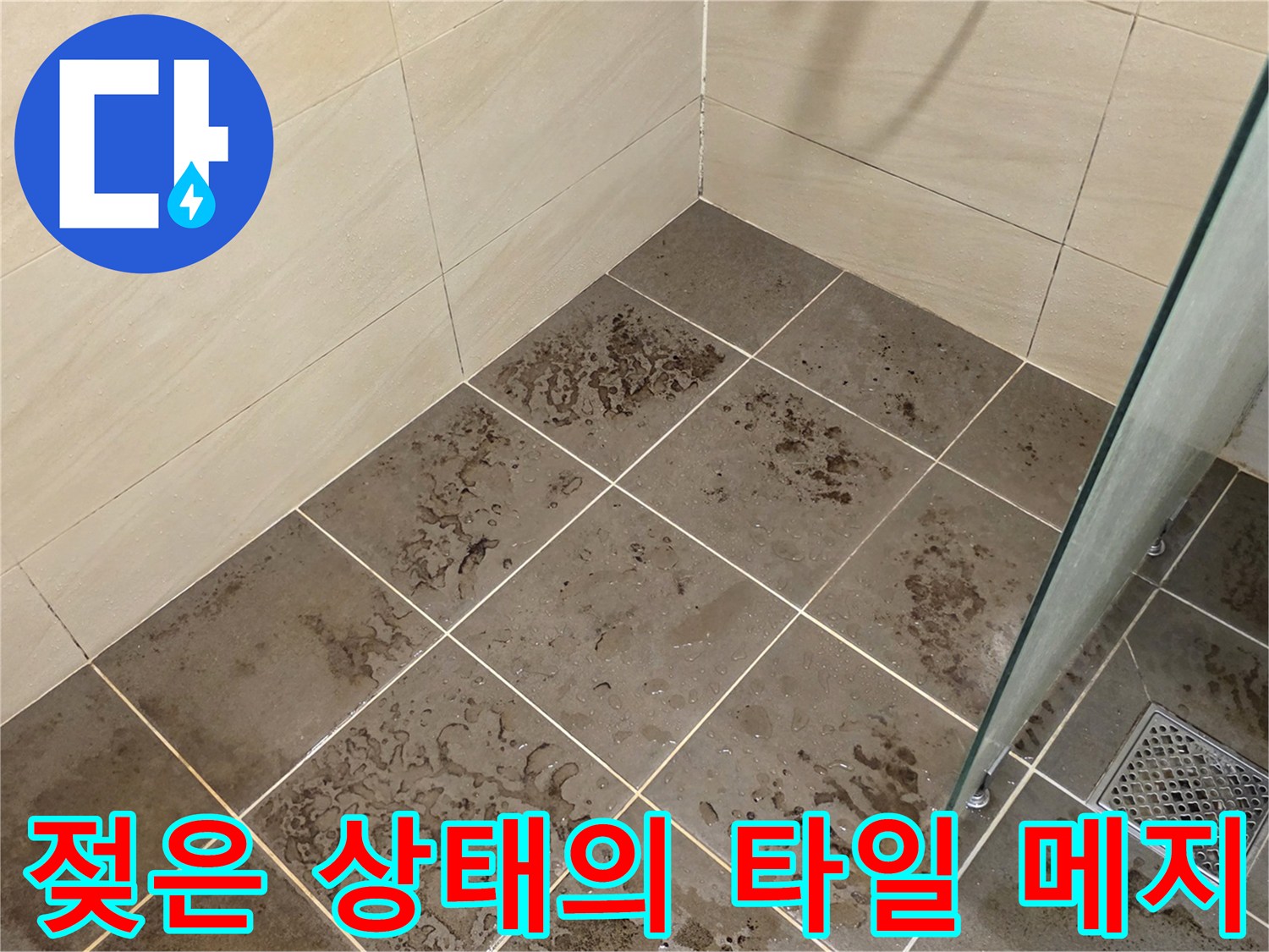 물기를 머금어-검게 변한 타일 줄눈 사진