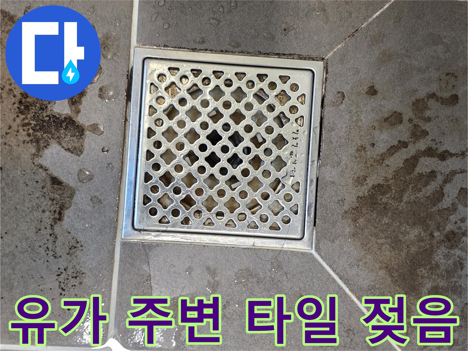 욕실-배수구-주변-타일-습기-현황