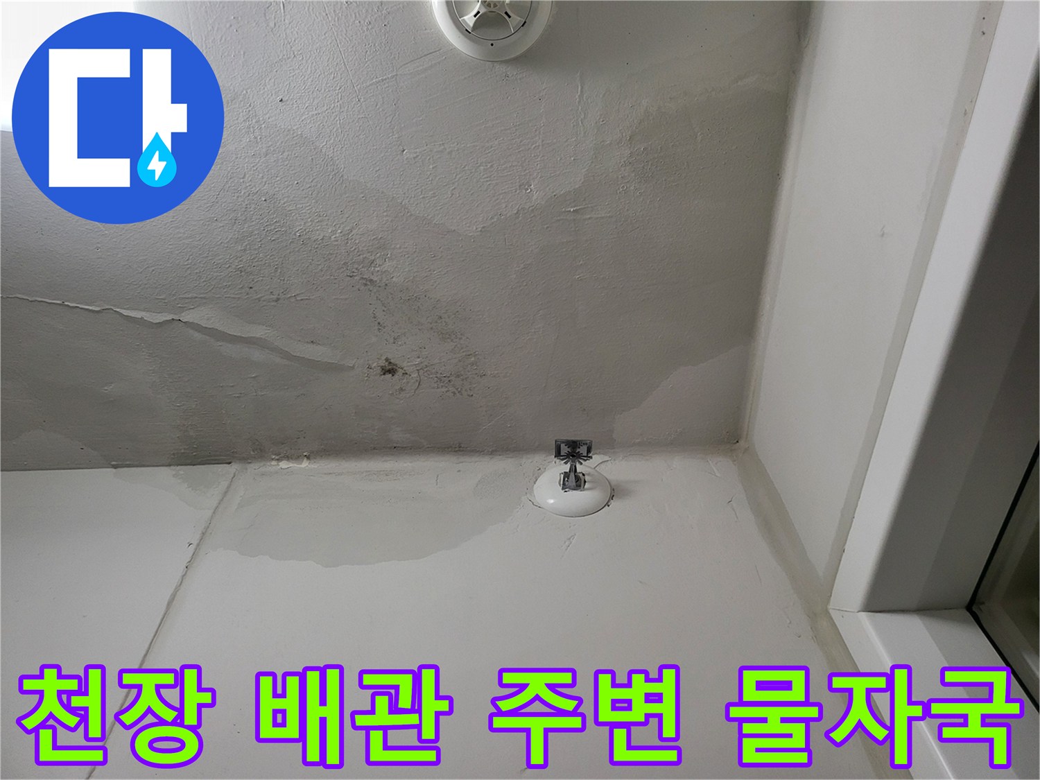 배관 부근의 젖은 천장 면과 변색된 도색 상태