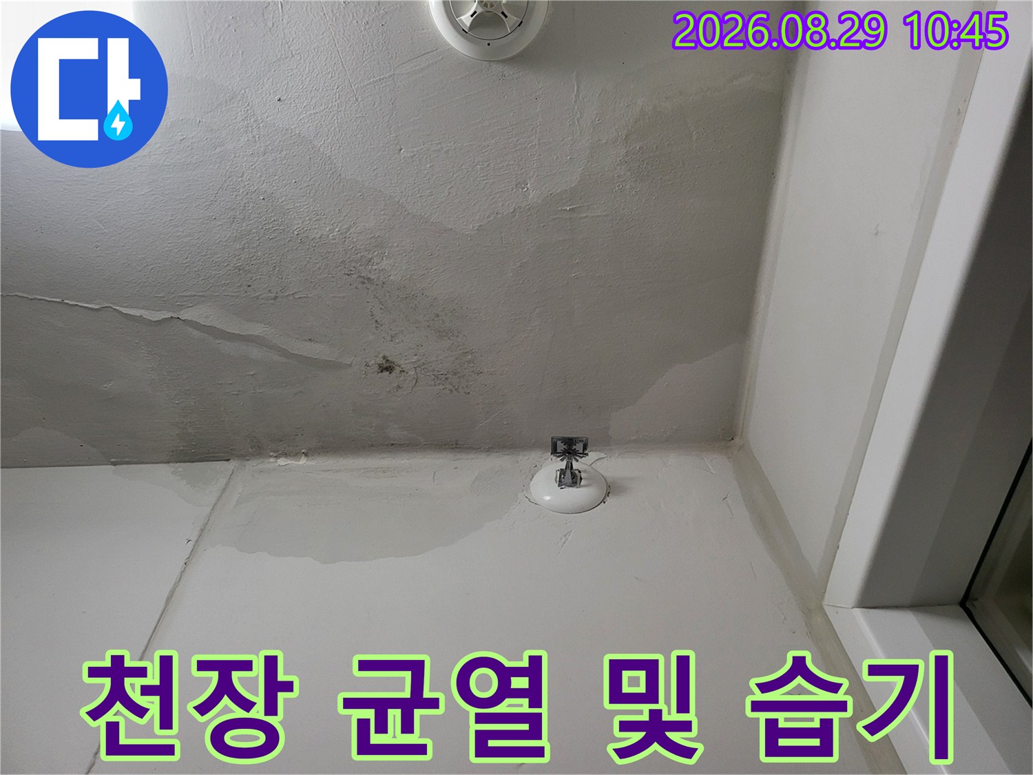 세탁실 천장-누수로 인한 변색과 미세한 균열 부위