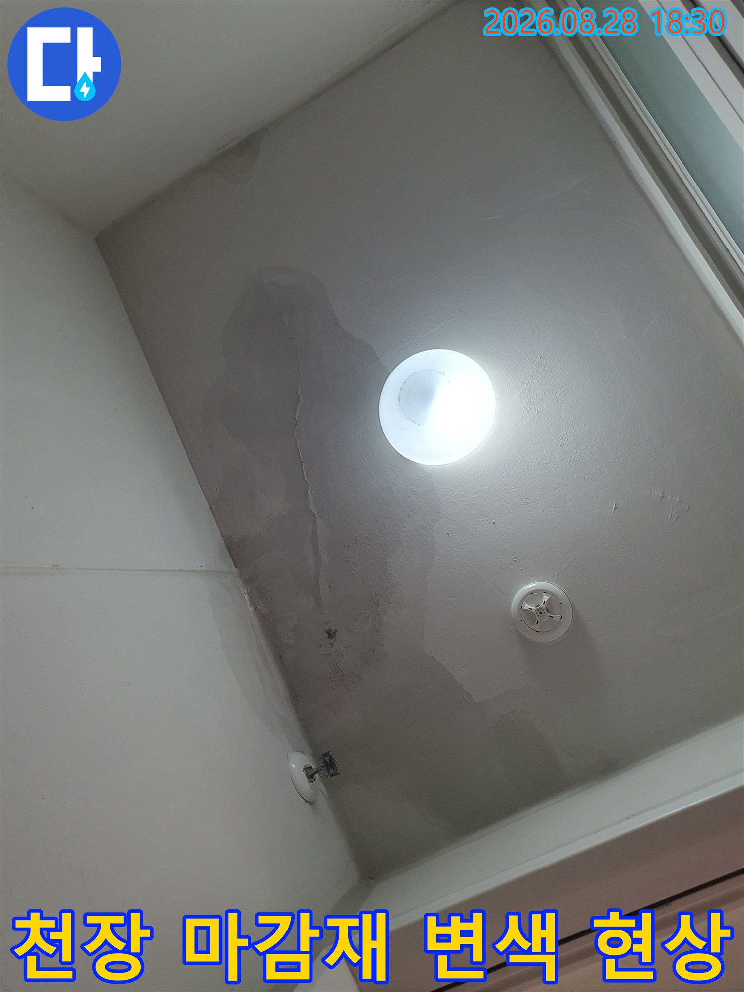 세탁실 천장-습기로 인해 어둡게 변한 마감재 면적
