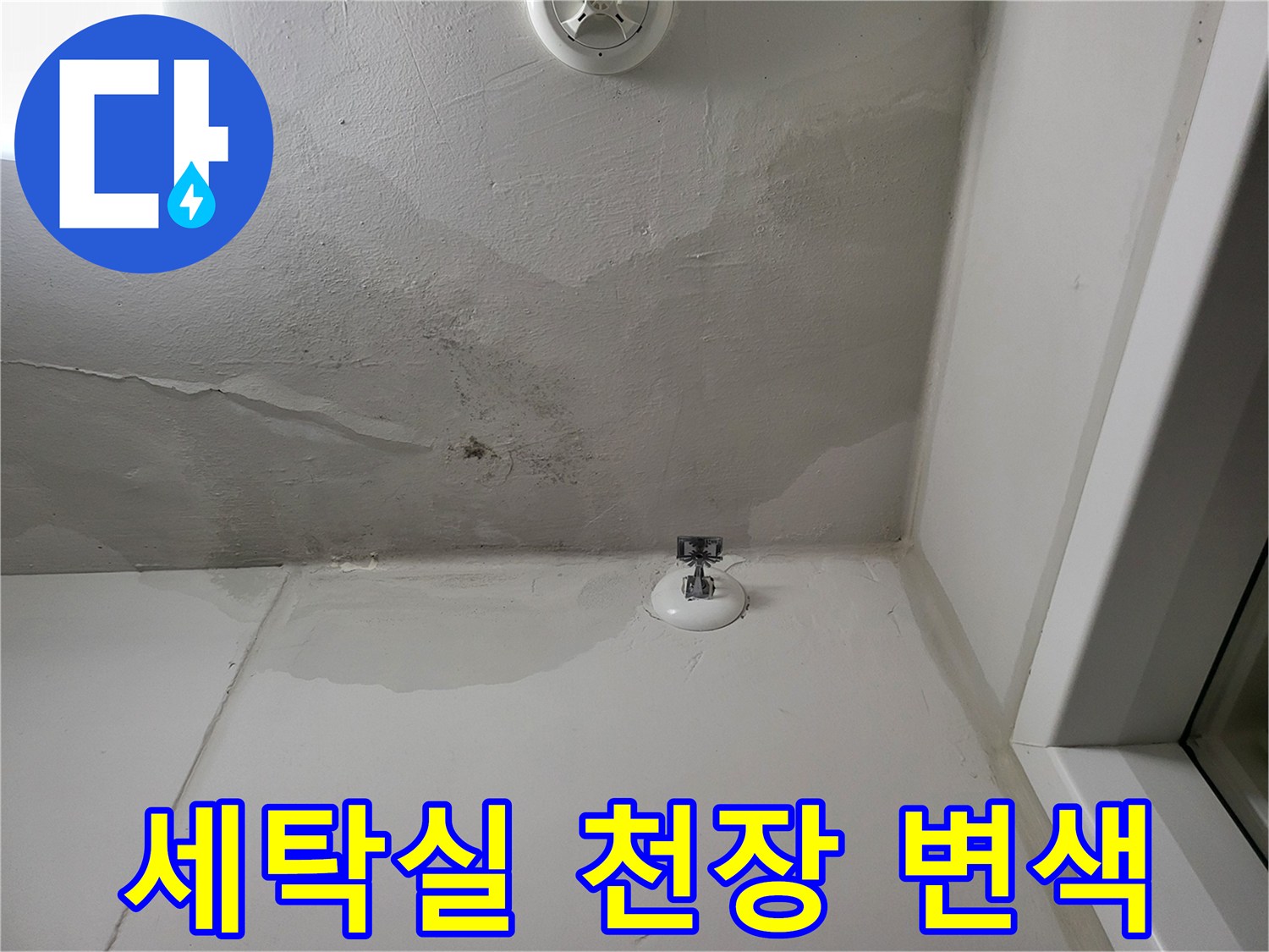 화성 산척동 세탁실 천장의 습기로 인한 변색 및 균열 상태