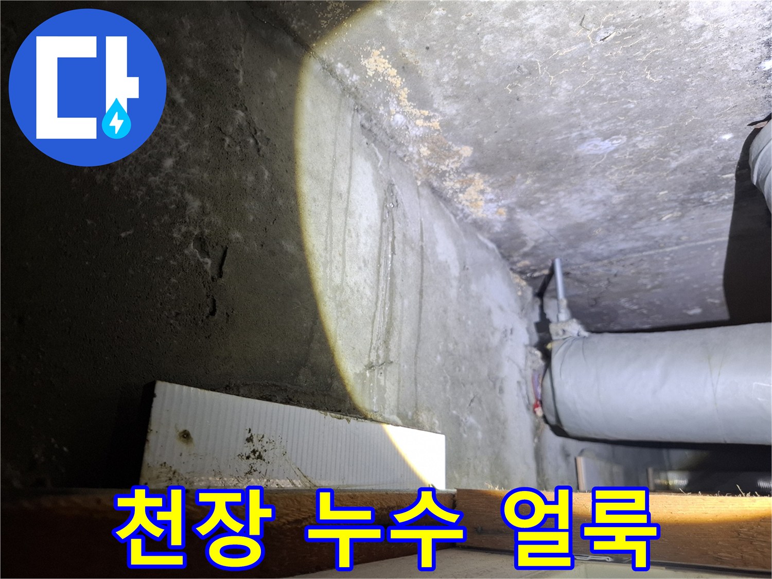 변색된 천장 벽면과 노출된 배관 라인
