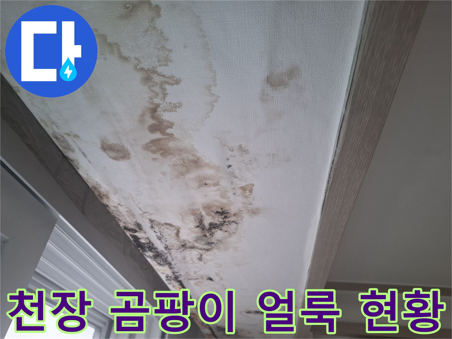 누수로 인해 변색된 거실 천장 벽지 사진