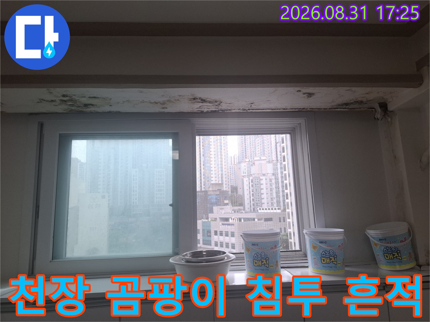 아현동 거실 창가 천장 몰딩 부근의 곰팡이와 물 얼룩