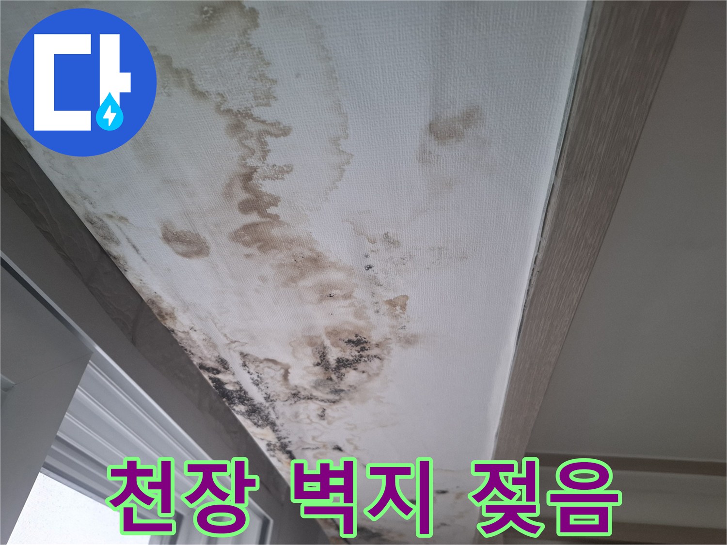 천장 가장자리를 따라 진행된 물 얼룩과 곰팡이 번식 사진입니다.