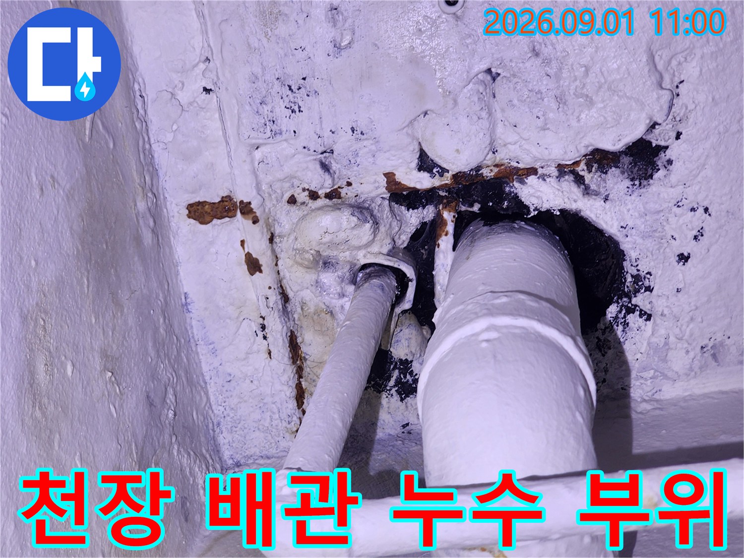 강동구 현장의 천장 배관 연결 부위 누수 흔적