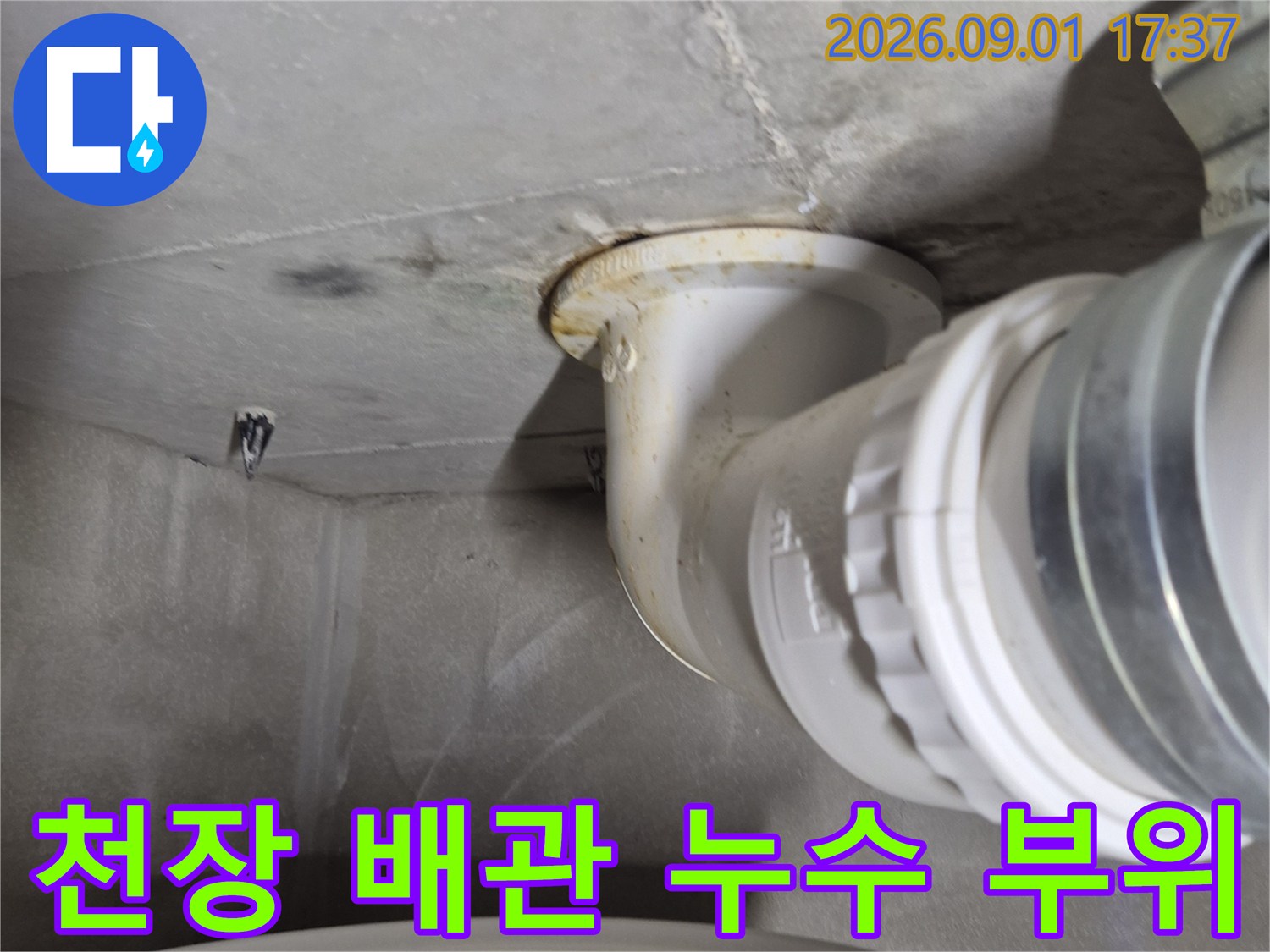 하얗고 굵은-오수관 연결 지점의 점검 모습