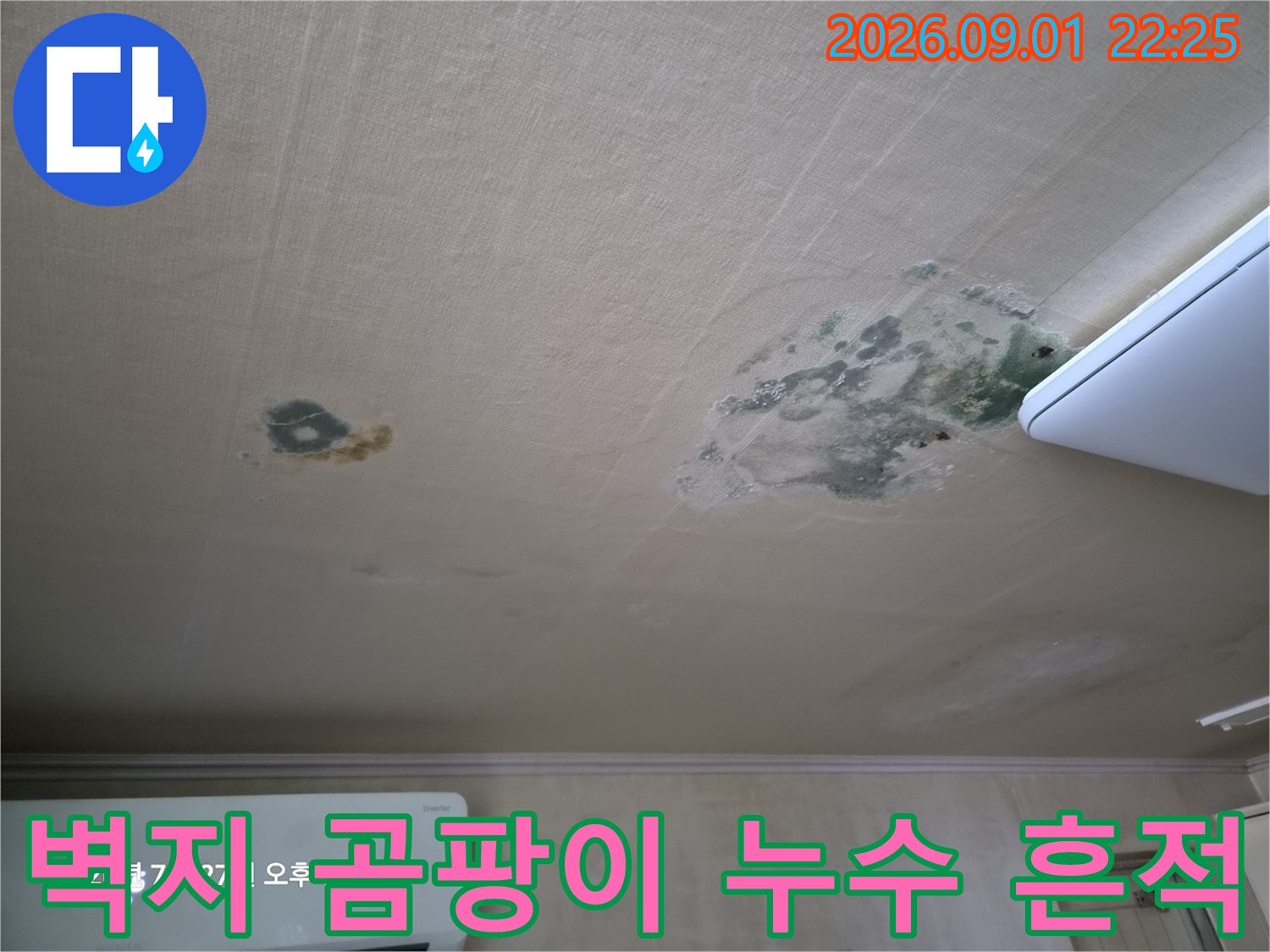 거실 천장 벽지에 넓게 퍼진 물 얼룩과 곰팡이 발생 부위