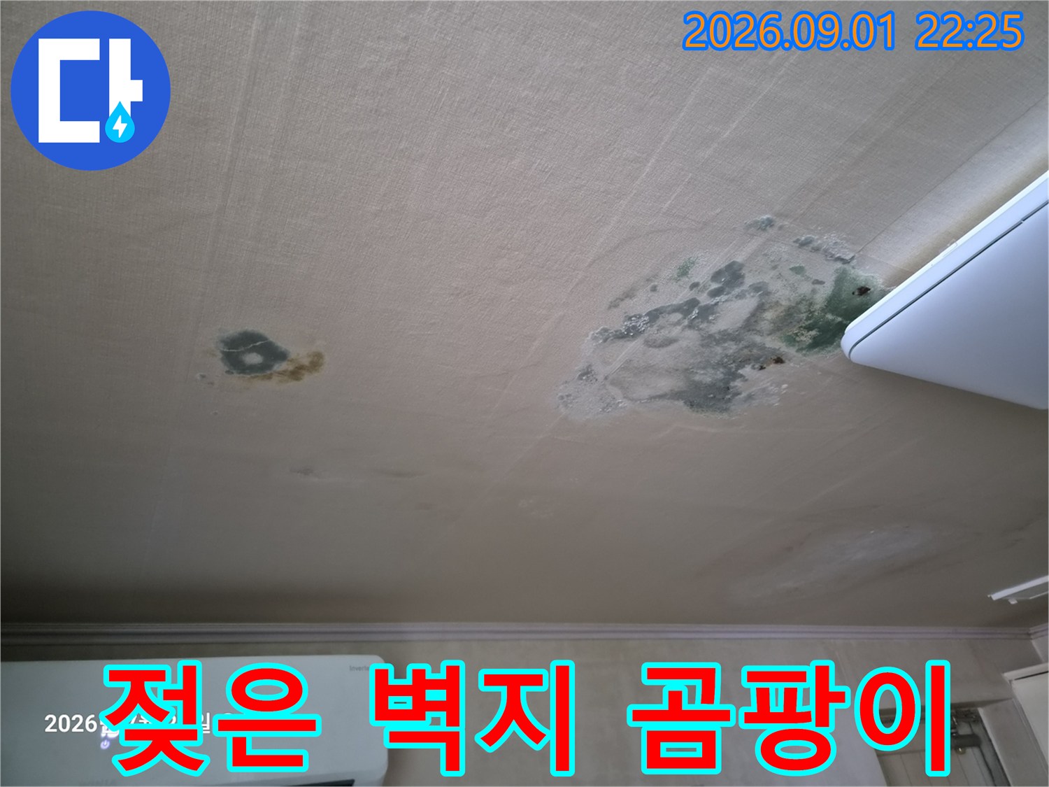 물에 젖어 변색된 천장 벽지와 피어오른 곰팡이 모습입니다.
