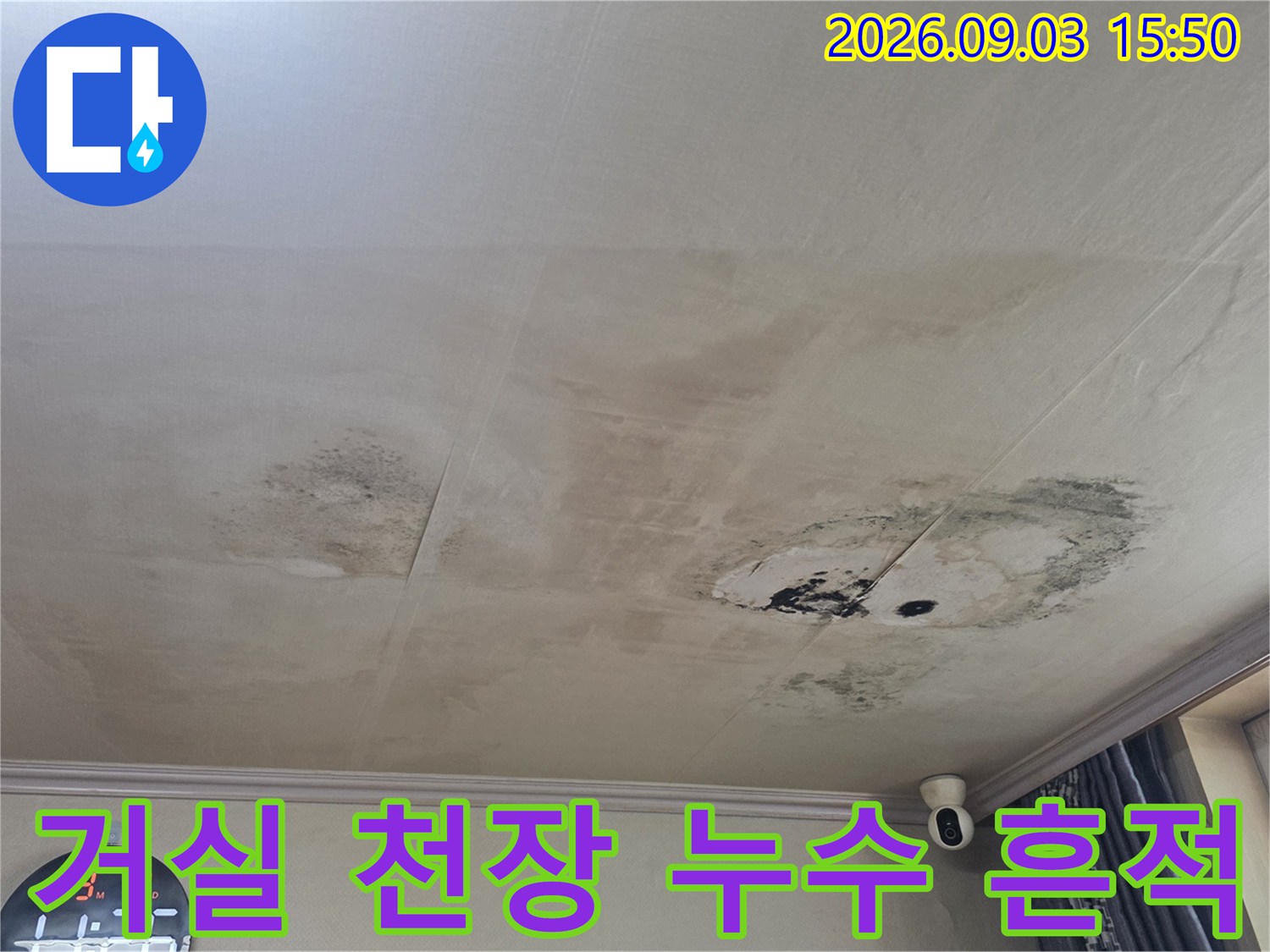 천장 벽지가 젖어 얼룩지고 곰팡이가 발생한 거실 현장입니다.
