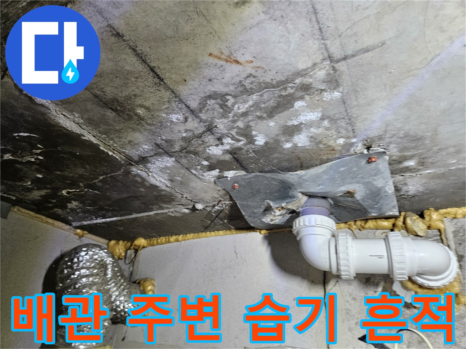 하수구-연결부-주변-습기-및-오염-상태