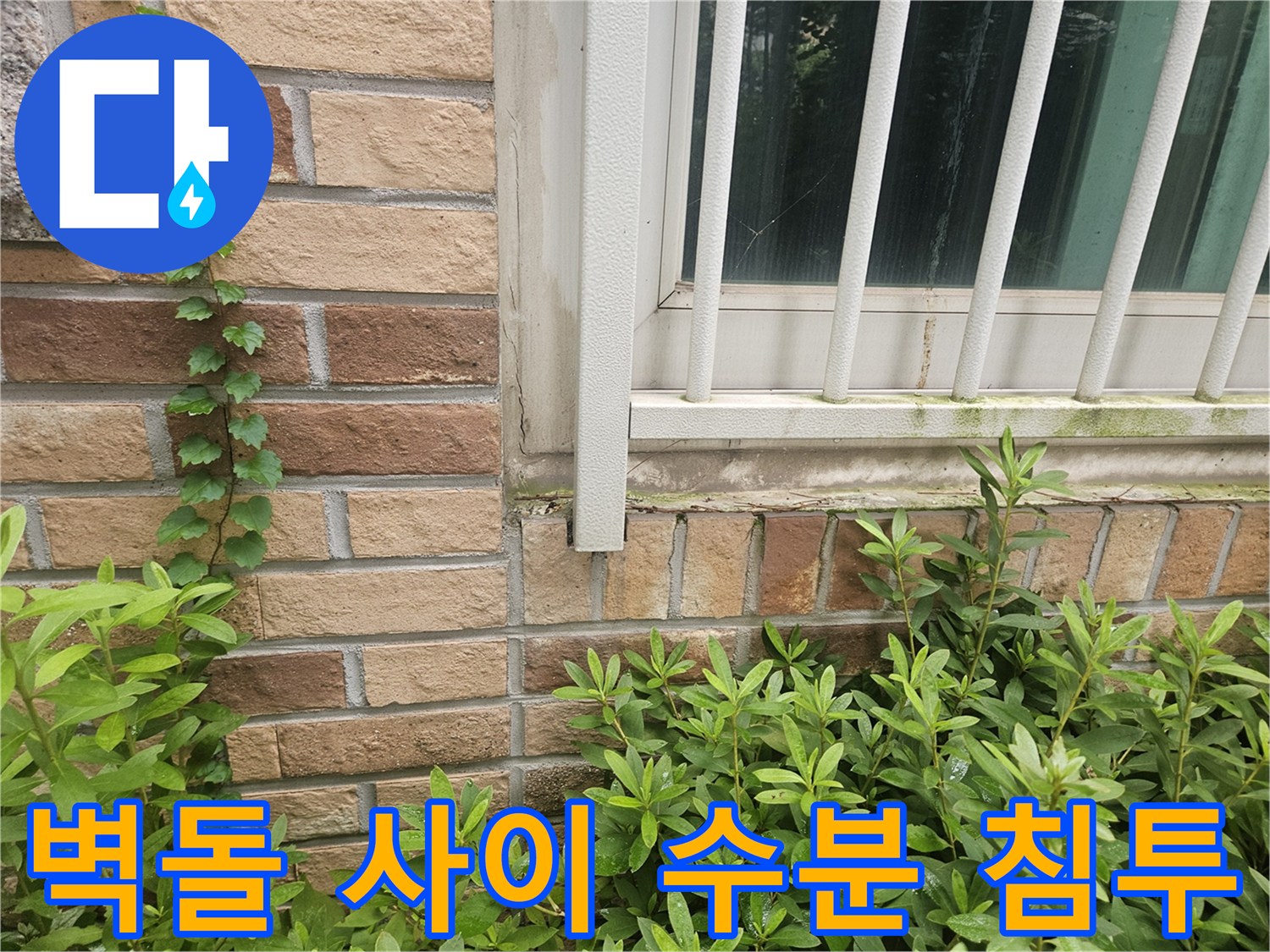 벽돌 줄눈 부위의 습기 번짐 현상