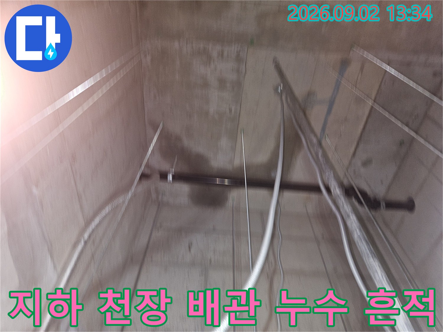 영덕동 지하 창고-물에 젖어 어두워진 천장 콘크리트와 배관들