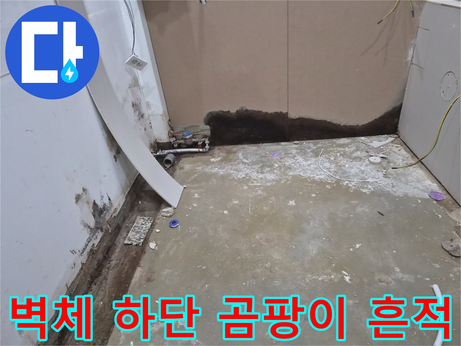 가벽 하단부의 젖은 자재와 곰팡이가 번진 모습