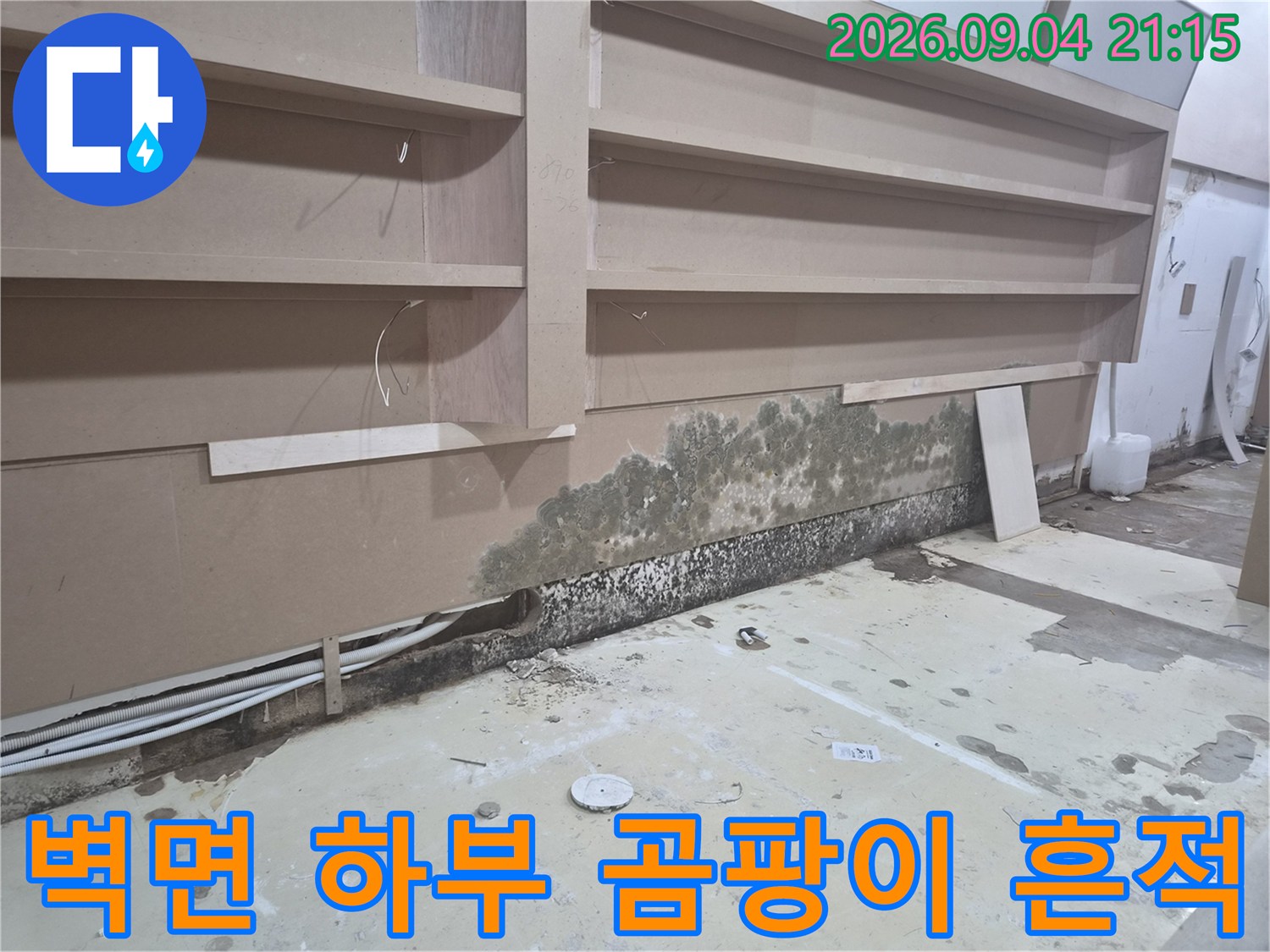습기 유입으로 인한 가벽 하단의 곰팡이 발생 상태