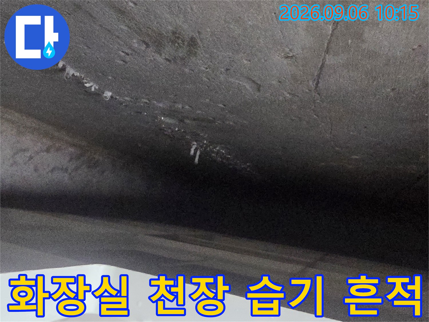 은평구 불광동 현장의-화장실 천장 내부 습기 및 얼룩 확인