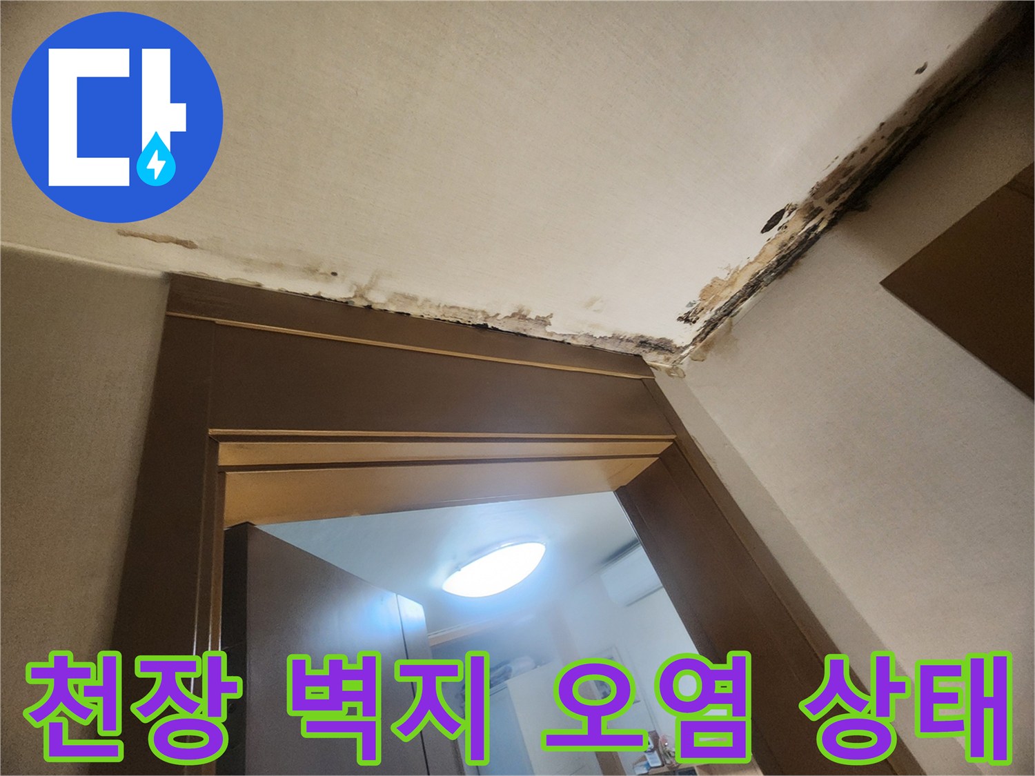 물에 젖어 검게 변한 천장 벽지 부분