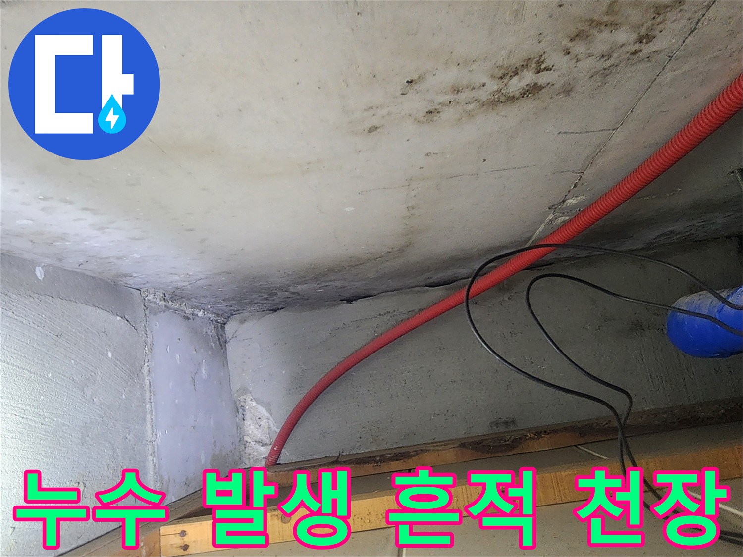 붉은색 배관 주변-습기와 곰팡이가 나타난 천장