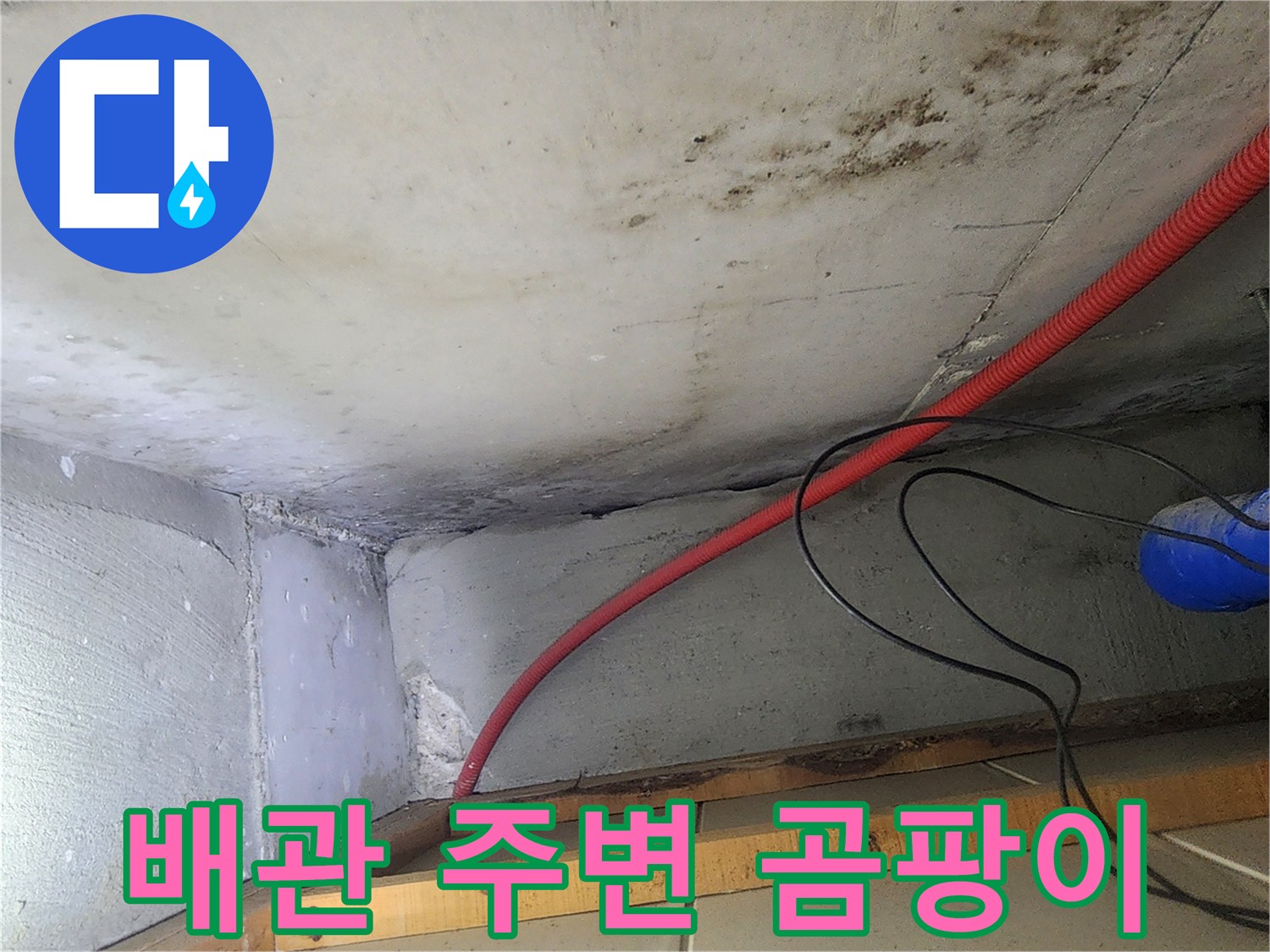 붉은색 보호관 아래 콘크리트의 곰팡이 오염