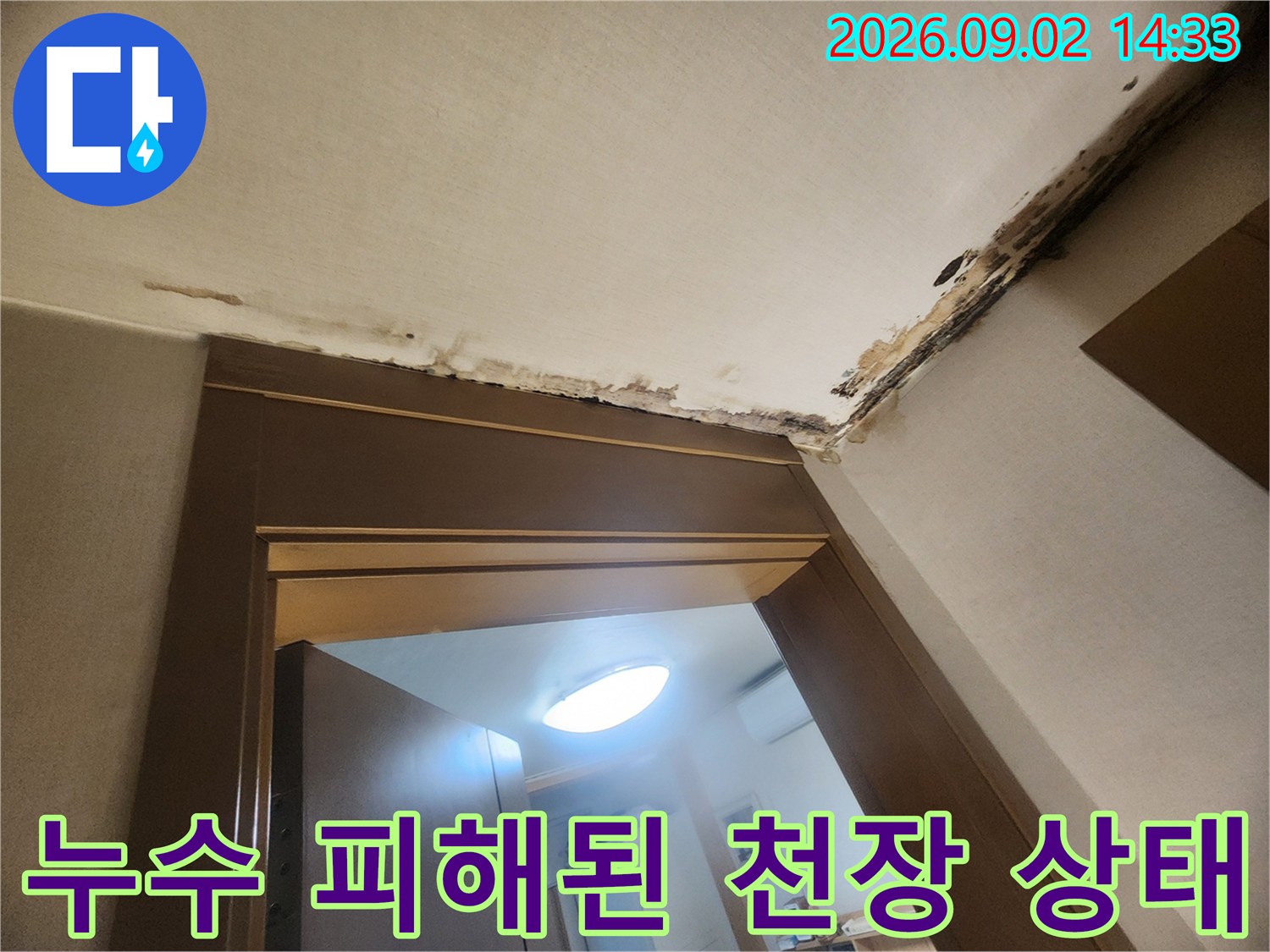 천장 가장자리의 곰팡이와 누수로 인한 변색된 벽지