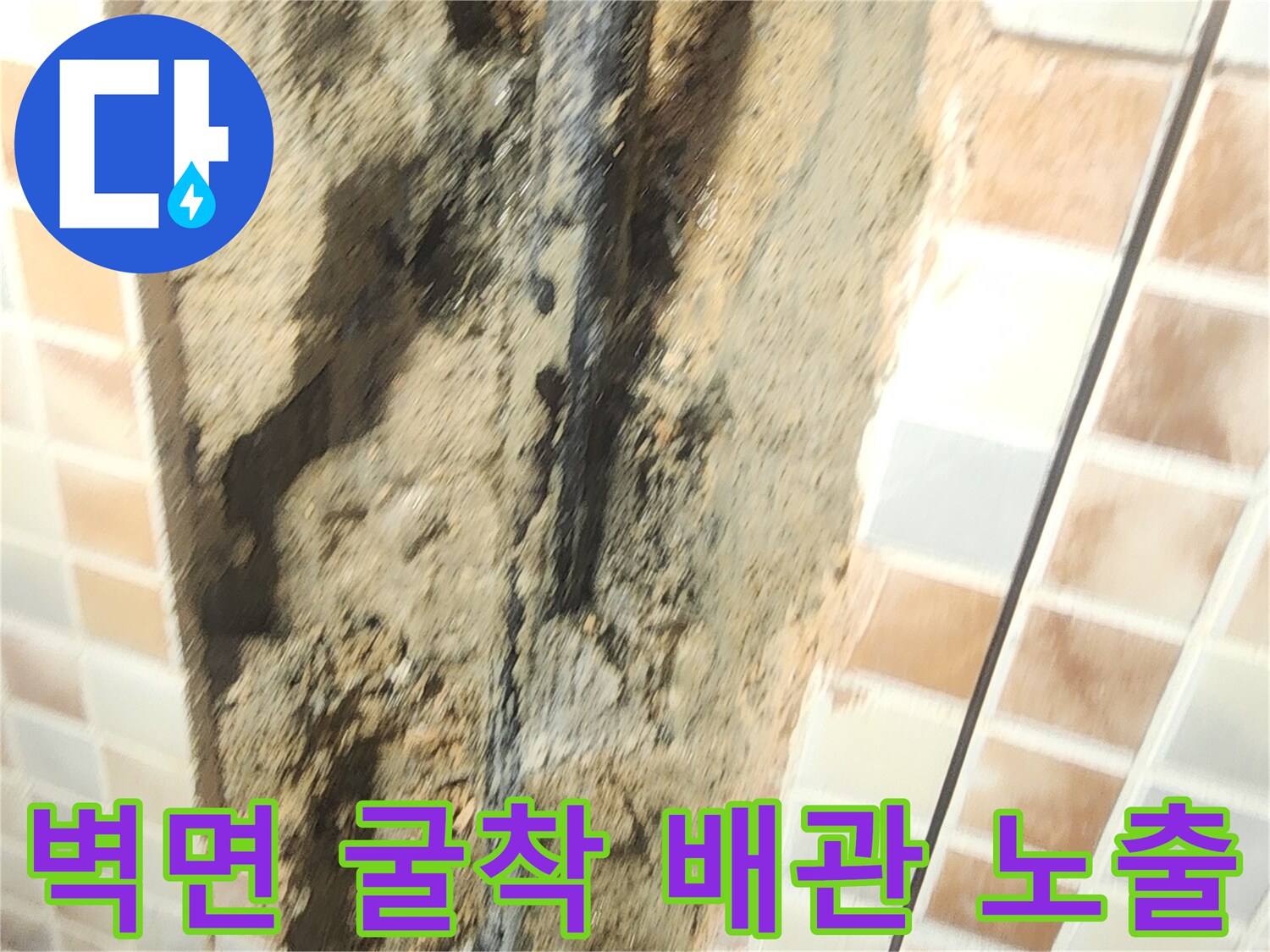 타일 제거 후 나타난 배관 주변의 습한 상태