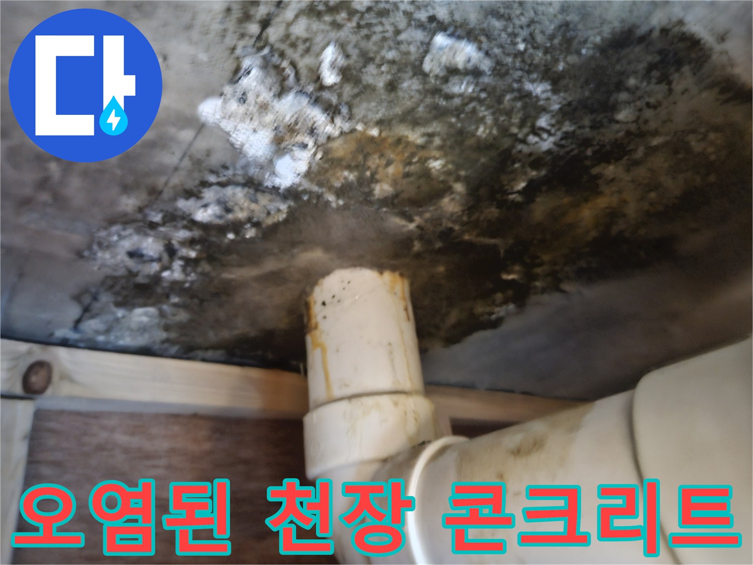 누수로-인해-곰팡이가-발생한-천장-배관-부근-슬래브