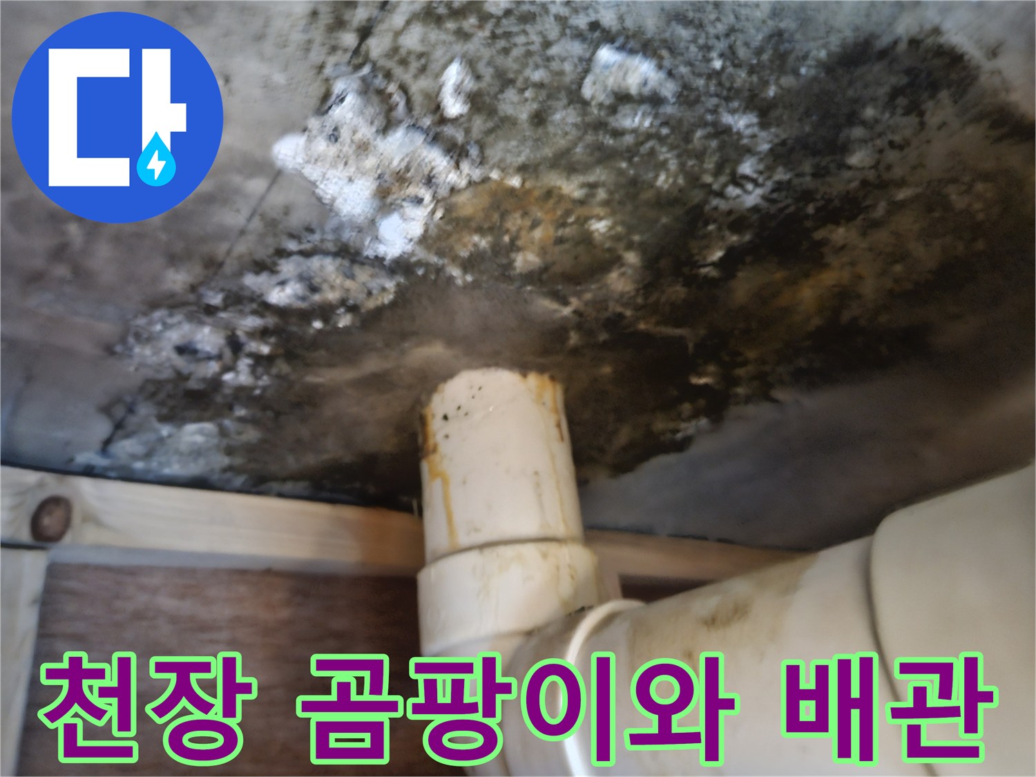 욕실-하부층-천장-콘크리트-슬래브-곰팡이-및-배관-상태