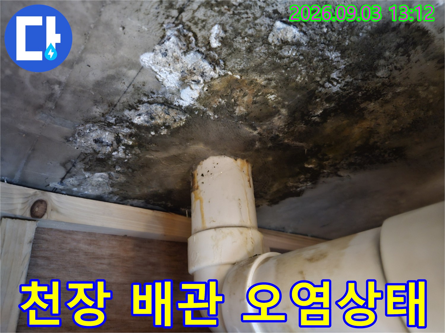 천장 슬라브-배수관 주변의 검은 곰팡이와 습기 흔적