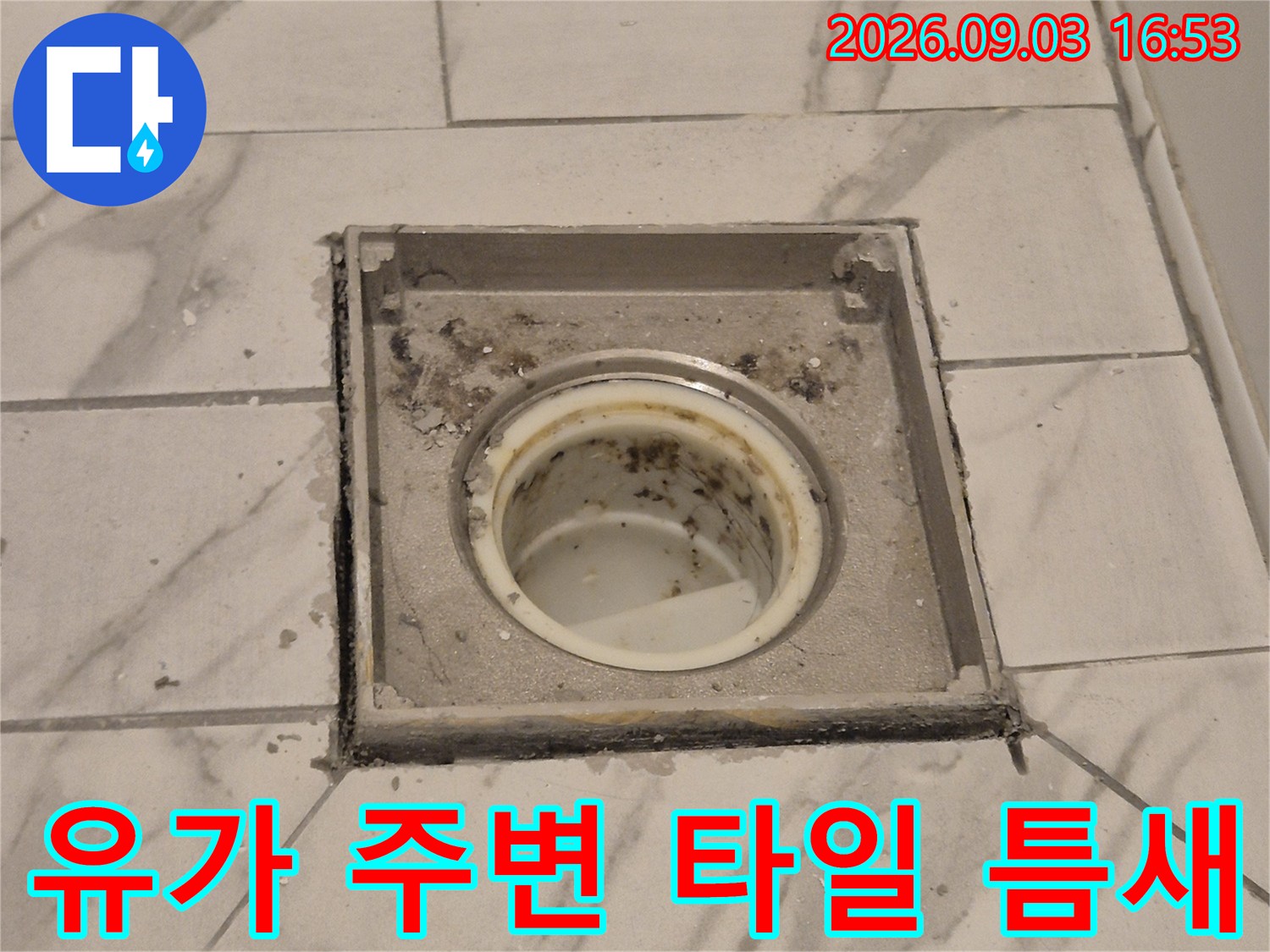 하수구 유가와 타일 경계면의 오염된 상태를 촬영한 사진입니다.