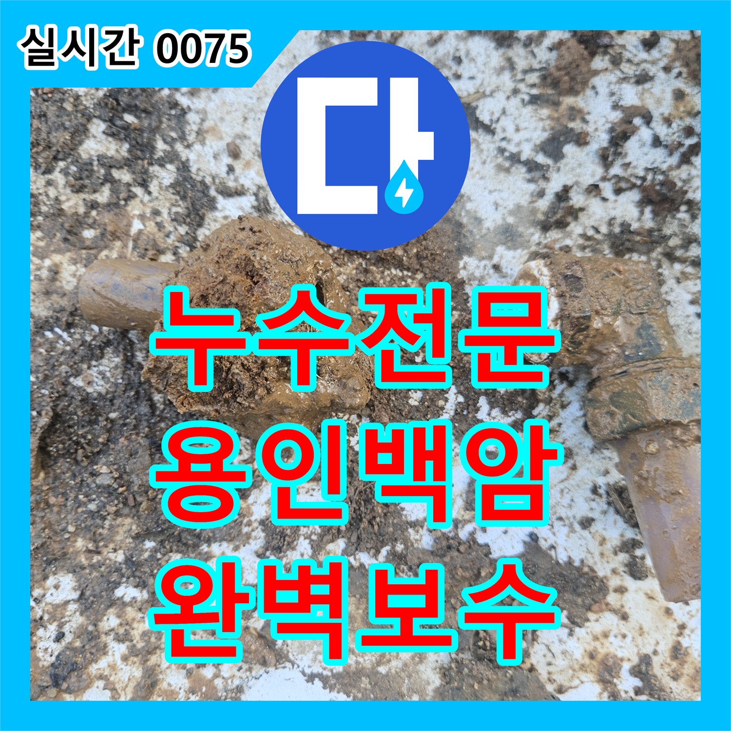 누수전문 수도 계량기가 계속 돌아가는 증상을 추적해 매립된 연결 부속을 수리한 경기 용인시 처인구 백암면 현장