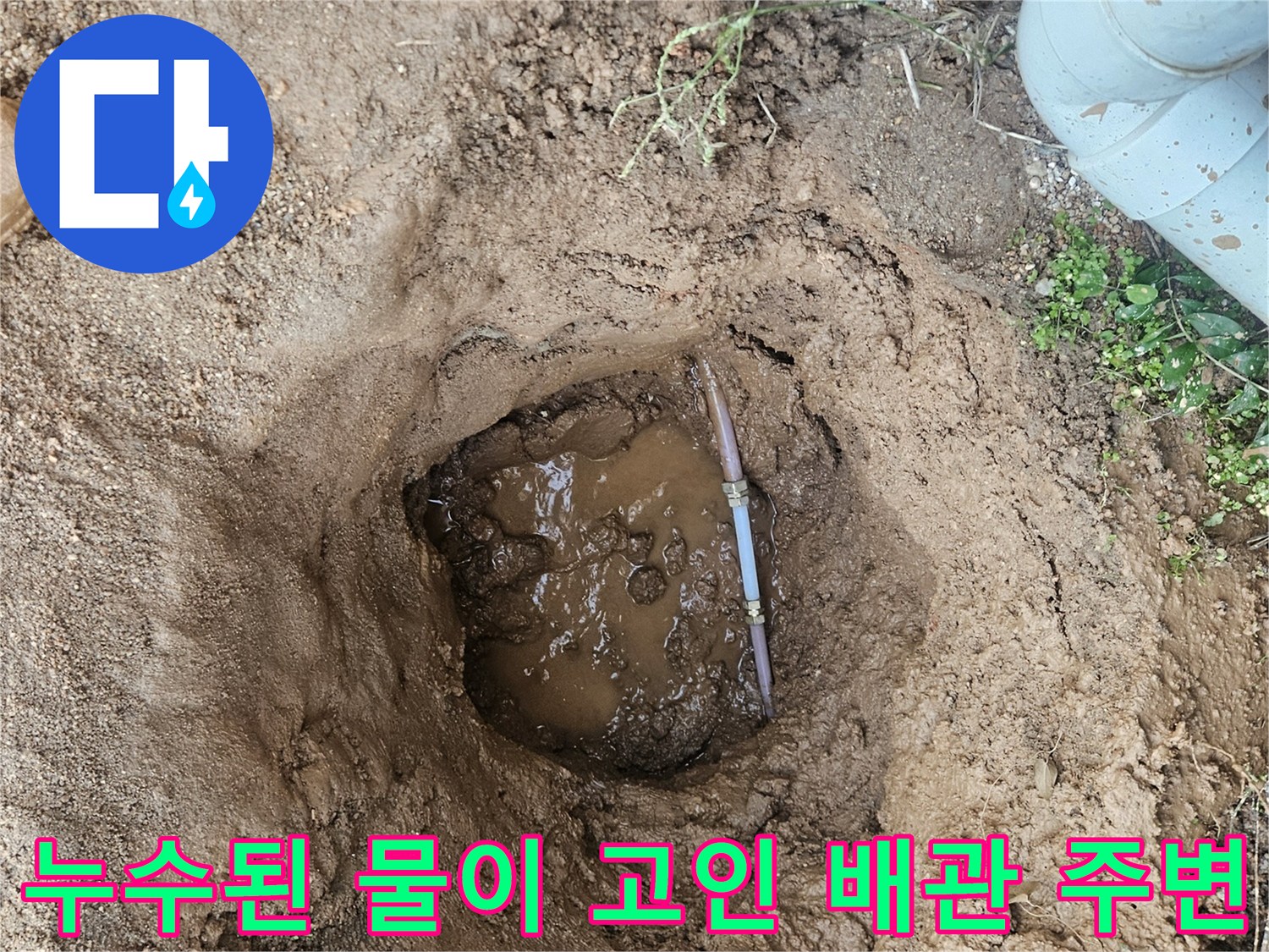 용인 처인구-파손된 배관 부근에 고여 있는 누수 현장