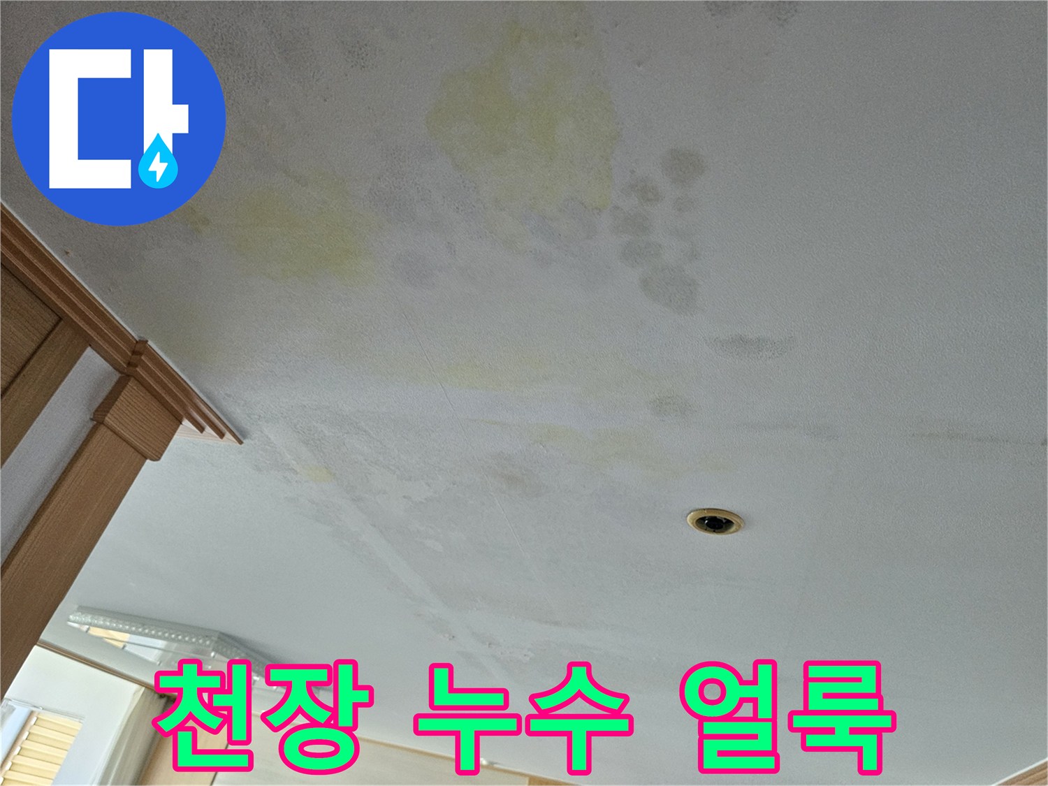 용인 처인구 아랫집 거실 천장의 노란색 누수 흔적과 얼룩 상태