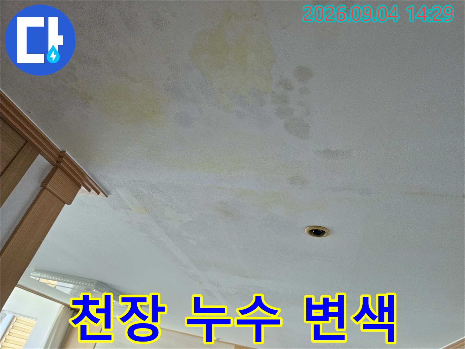 천장 도배지에 나타난 노란 누수 흔적 부위