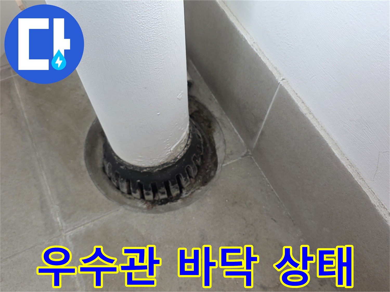 분당 수내동 현장-우수관 하단부 배수구 주변 점검 모습