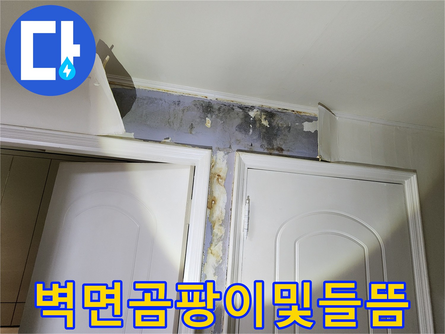 문틀 상단부의 훼손된 벽면 - 습기로 인해 부풀어 오른 페인트와 오염된 상태