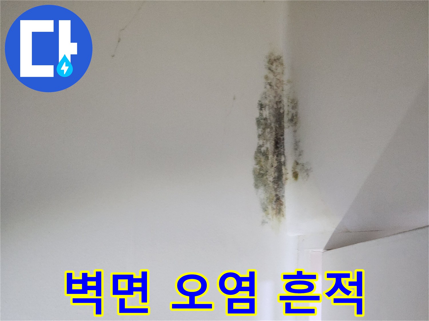 벽면 상단 모서리-심한 곰팡이와 물자국